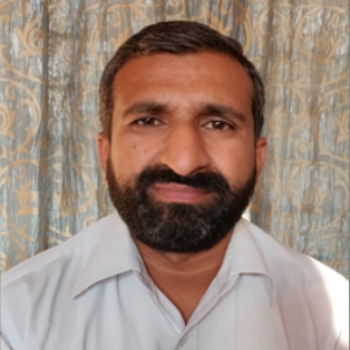 mentor Image